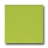 American Olean Bright 6 X 6 Green Apple Tile  and  Sto