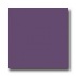 American Olean Bright 6 X 6 Grape Soda Tile  and  Ston
