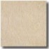 Interceramic Sonora 16 X 16 Marfil Tile & Stone