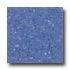 Santa Regina Designer 16 X 16 (antique) Azul Terrazzo Tile