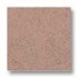 Alfagres Quarry Abrasive 6 X 6 Spanish Red Tile & Stone