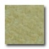 Alfagres Alpes 18 X 18 Ash Tile & Stone