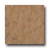 Alfagres Pompei 18 X 18 Mocca Tile & Stone