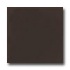 American Olean Matte 4 X 4 Matte French Roast Tile & Stone