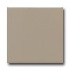 American Olean Matte 4 X 4 Matte Mushroom Tile & Stone