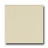American Olean Matte 4 X 4 Matte Sand Dollar Tile