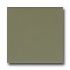 American Olean Matte 4 X 4 Matte Artichoke Tile & Stone