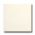 American Olean Matte 4 X 4 Matte Biscuit Tile & Stone