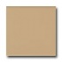 American Olean Matte 6 X 6 Matte Cappuccino Tile & Stone