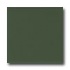 American Olean Matte 6 X 6 Matte Dill Pickle Tile