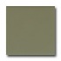 American Olean Matte 6 X 6 Matte Artichoke Tile  and