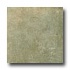 Orchid Ceramics Etch 12 X 12 Olivia Tile & Stone