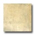 Orchid Ceramics Etch 18 X 18 Sole Tile & Stone