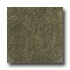 American Florim Terra Nuevo 18 X 18 Bronze Tile & Stone