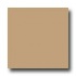 United States Ceramic Tile Color Collection 4 X 4 Bright Glaze C