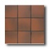American Olean Quarry Tile Abrasive 4 X 8 Ember Fl