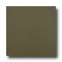 American Florim Urban Landscape 12 X 12 North Beach Tile & Stone