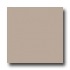 United States Ceramic Tile Color Collection 6 X 6 Bright Glaze F