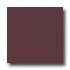 United States Ceramic Tile Color Collection 6 X 6 Bright Glaze C