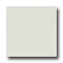 United States Ceramic Tile Color Collection 6 X 6