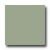 United States Ceramic Tile Color Collection 6 X 6