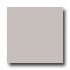 United States Ceramic Tile Color Collection 6 X 6