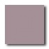 Crossville Cross-colors B 12 X 12 Ups Amethyst Tile & Stone