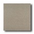 American Olean Terra Paver Unpolished 8 X 8 Pepper Granite Tile