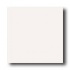 American Olean Matte 4 X 4 Designer White Tile & Stone