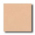 Crossville Cross-colors C 6 X 6 Ups Maple Sugar Tile & Stone