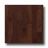 Robbins Urban Exotics Collection Plank Beech 3 1/4 Sierra Hardwo