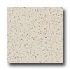 Armstrong Excelon Stonetex Premium Desert Dust Vinyl Flooring