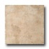 Monocibec Ceramica Graal 10 X 20 Sinclair Tile  and  S