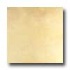 Tilecrest Contemporary 24 X 24 Beige Tile & Stone