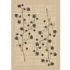 Milliken Nickita 8 X 11 Opal Area Rugs