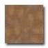 Armstrong Olmo 18 X 18 Terracotta Col021818 Tile & Stone