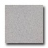 Armstrong Medintech Homogeneous Liatris Cool Gray Vinyl Flooring