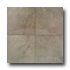 Daltile Aspen Lodge Mosaic Shadow Pine Tile & Stone