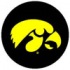 Logo Rugs Iowa University Iowa Round Rug 4 Ft Area Rugs