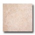 Laufen Vail 13 X 13 Ivory Tile & Stone