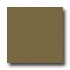 Milliken Harmony 8 Square Dried Herb Area Rugs