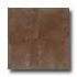 Daltile Concrete Connection 20 X 20 Plaza Rouge Tile & Stone