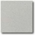 Daltile Vitrestone Select 8 X 8 Gray Granite Tile & Stone