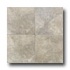 Daltile Paraiso 10 X 10 Artico Tile & Stone