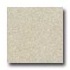 Santa Regina Architectural 24 X 24 (polished) Buttercream Terraz