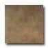 Tilecrest Contemporary 24 X 24 Olive Tile & Stone