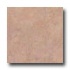 Nafco Elements 9 X 9 Tuscan Brown Vinyl Flooring