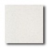 Daltile Accentials Ii 3 X 3 White Tile & Stone
