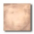 Crossville Questech Metals Bronze 6 X 6 Country Polished Tile &